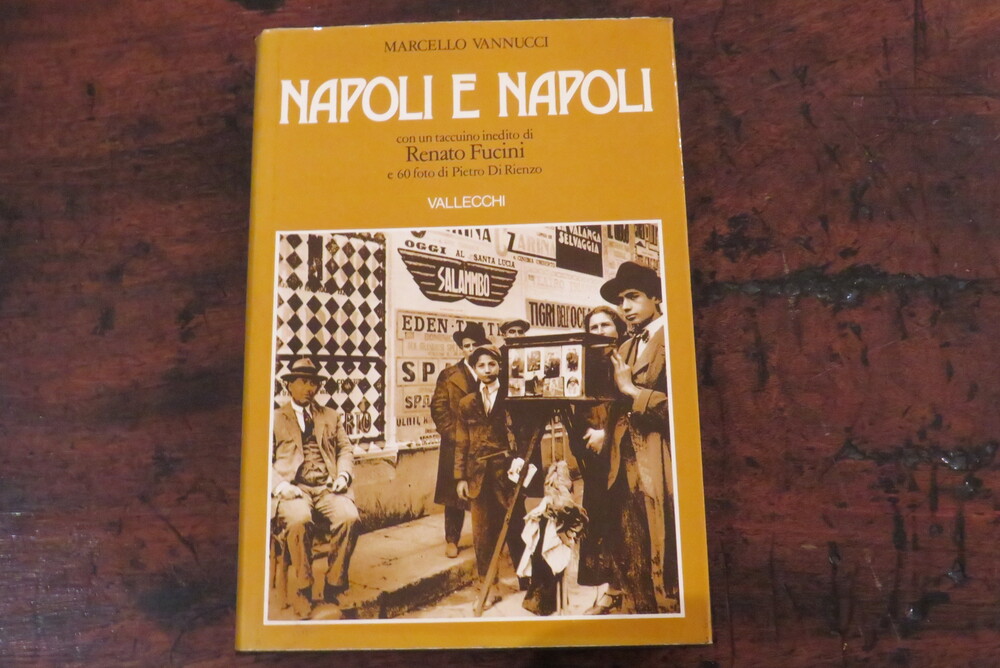 MARCELLO VANNUCCI. Napoli e Napoli.