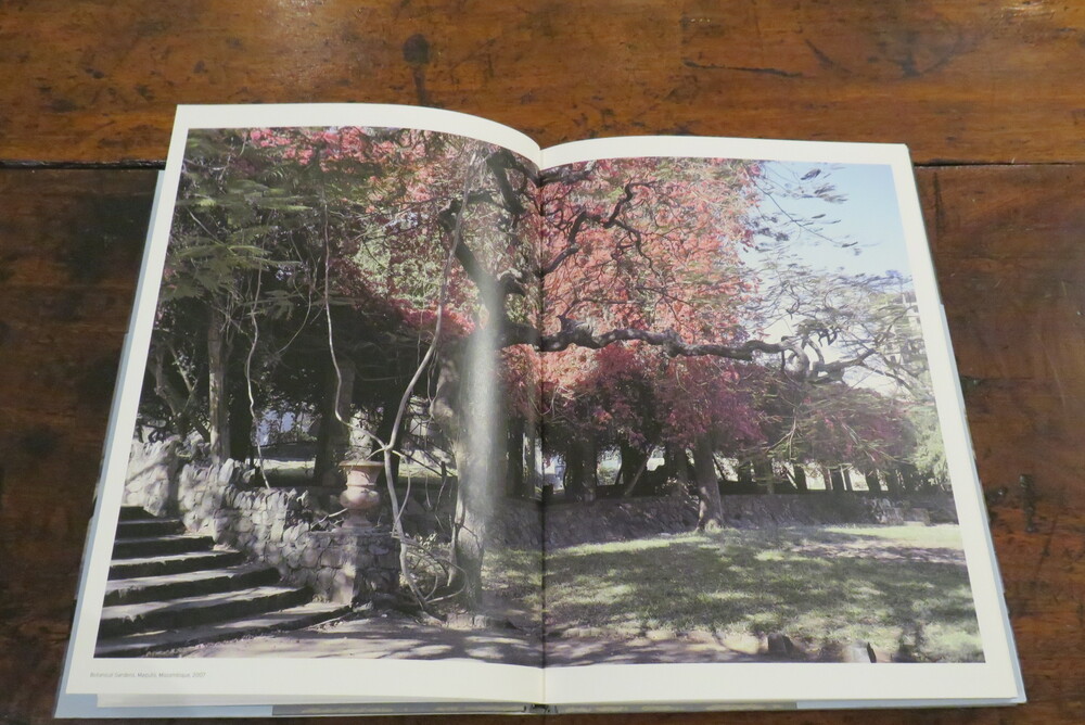 GUY TILLIM, ROBERT GARDNER. Avenue Patrice Lumumba.