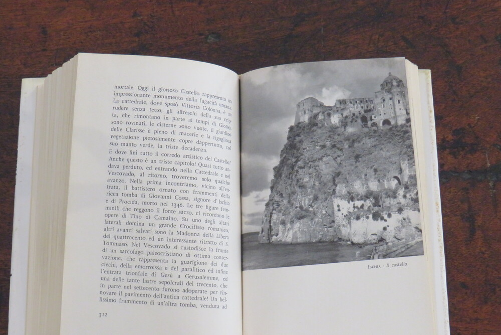 LUIGI PIGNATELLI. Il compagno di viaggio. Itinerari napoletani.