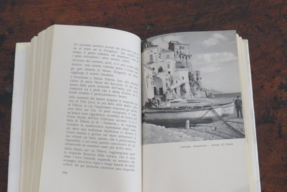LUIGI PIGNATELLI. Il compagno di viaggio. Itinerari napoletani.