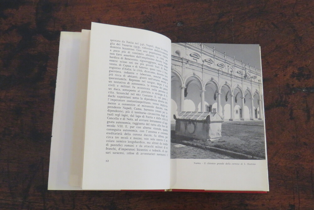 LUIGI PIGNATELLI. Il compagno di viaggio. Itinerari napoletani.