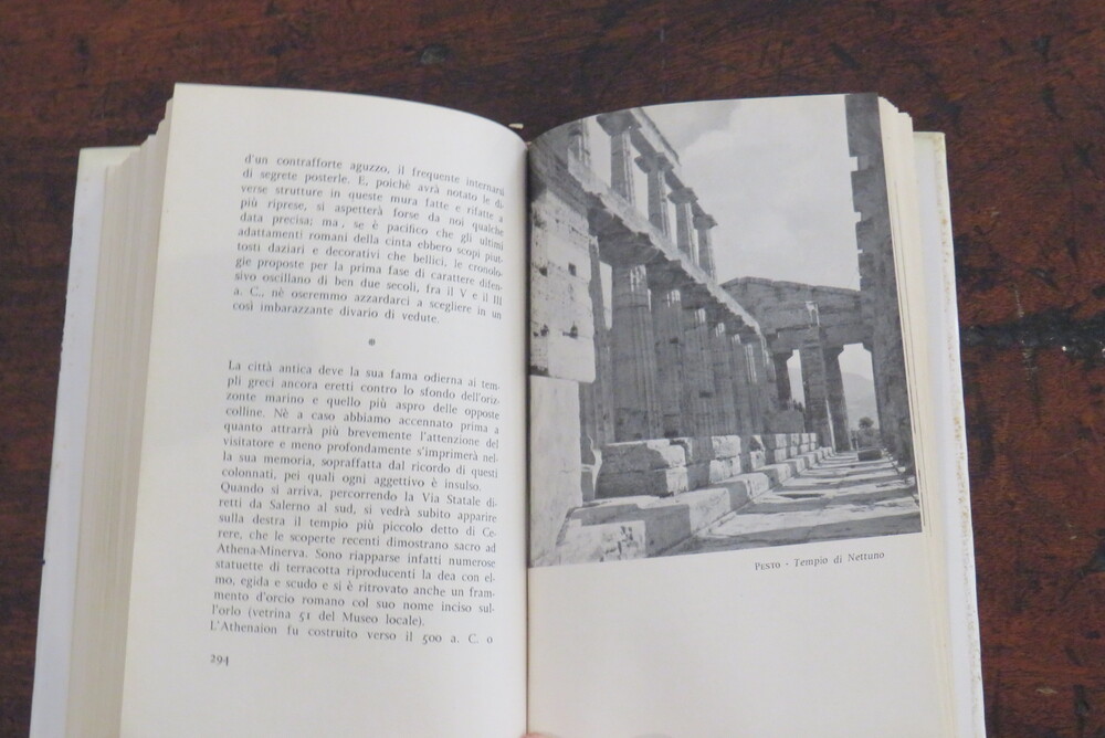 LUIGI PIGNATELLI. Il compagno di viaggio. Itinerari napoletani.