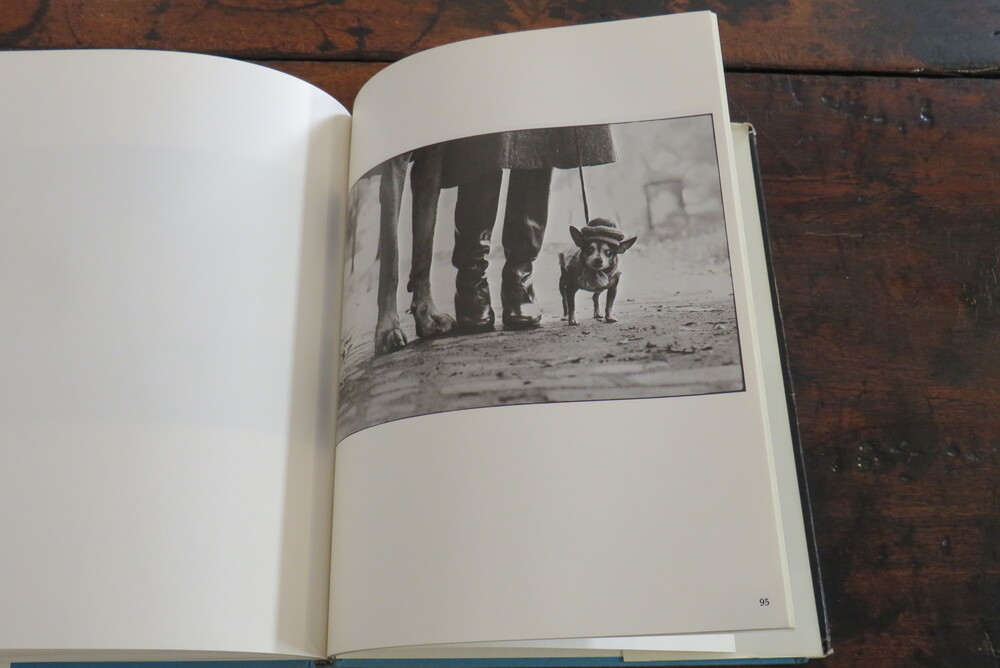 ELLIOTT ERWITT. Recent Developments.