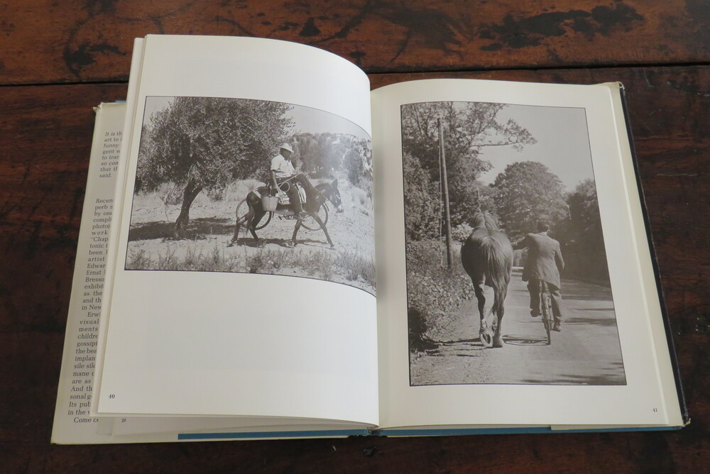 ELLIOTT ERWITT. Recent Developments.