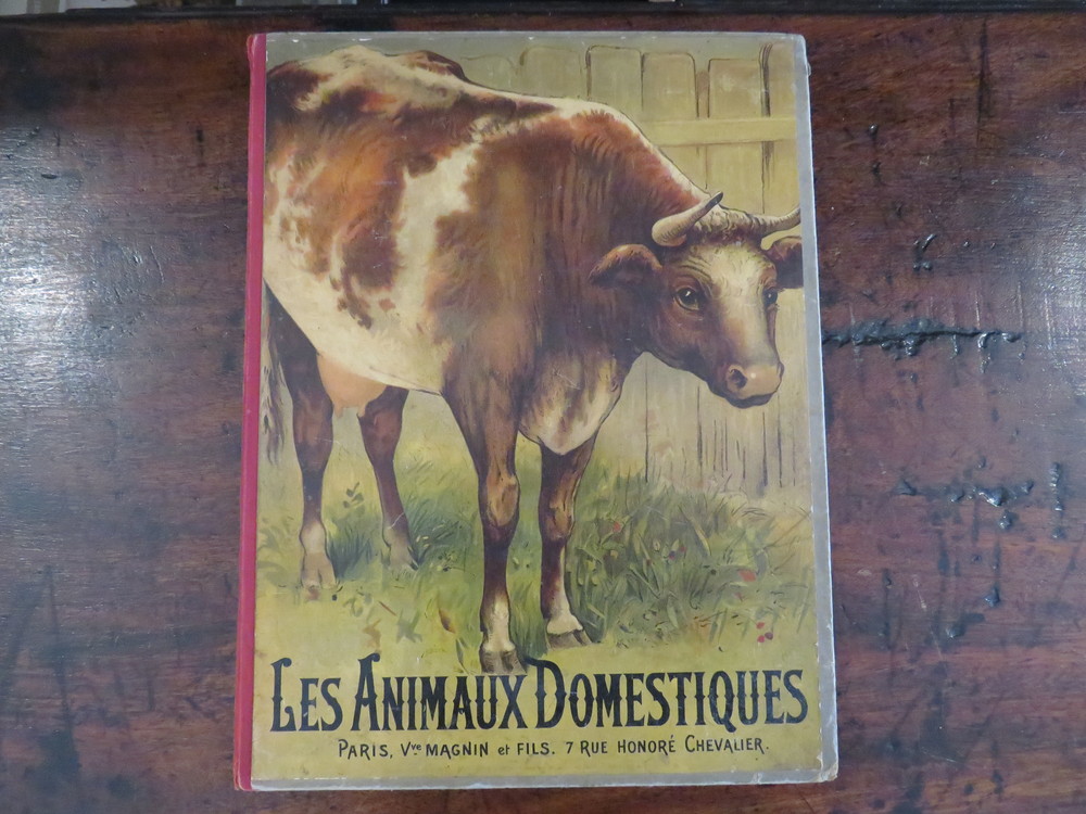 H. DE SAINT-SYLVESTRE. Les animaux domestiques