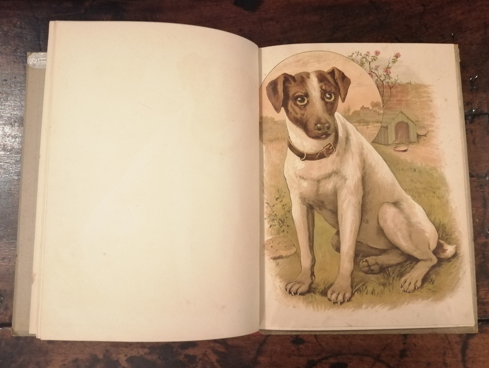 H. DE SAINT-SYLVESTRE. Les animaux domestiques