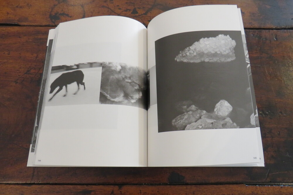 MASSIMILIANO TOMMASO REZZA. ATEM.