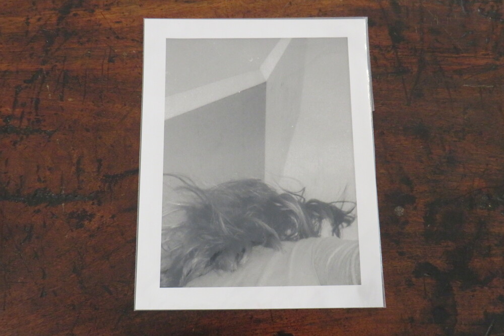 MASSIMILIANO TOMMASO REZZA. ATEM.