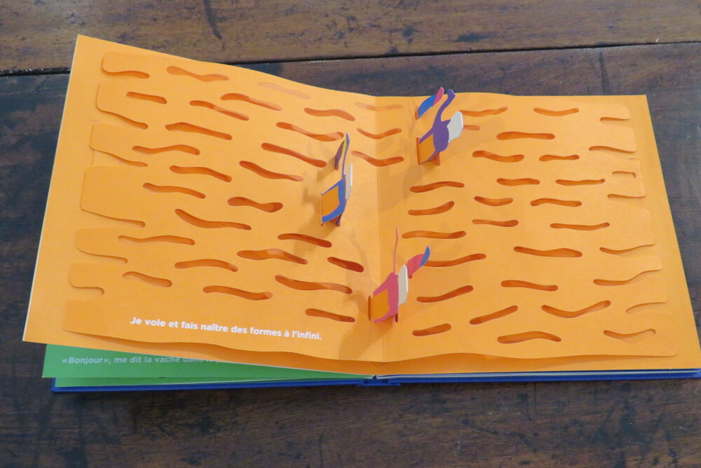 SUSUMU SHINGU. Le voyage du vent.
