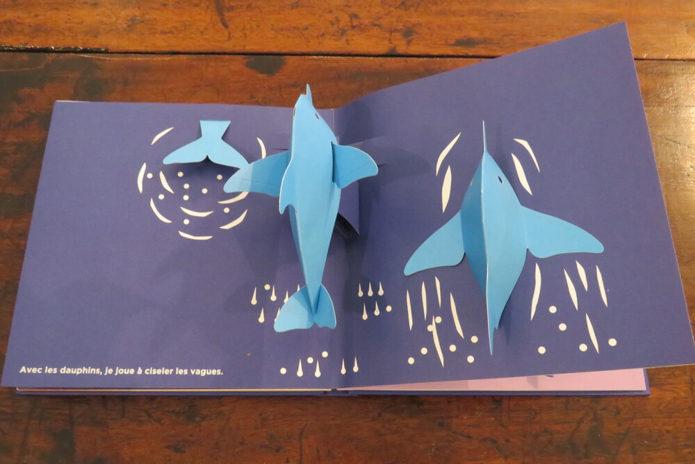 SUSUMU SHINGU. Le voyage du vent.