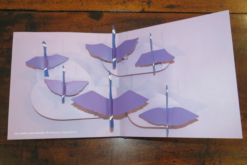 SUSUMU SHINGU. Le voyage du vent.