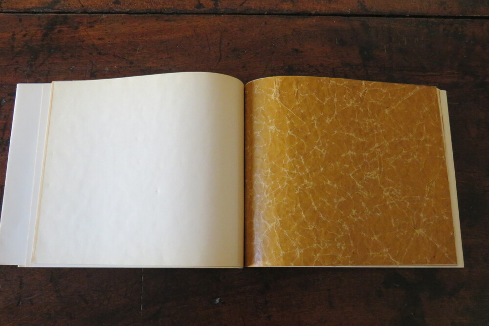 NANNI CORTASSA. Creasings (notes about).