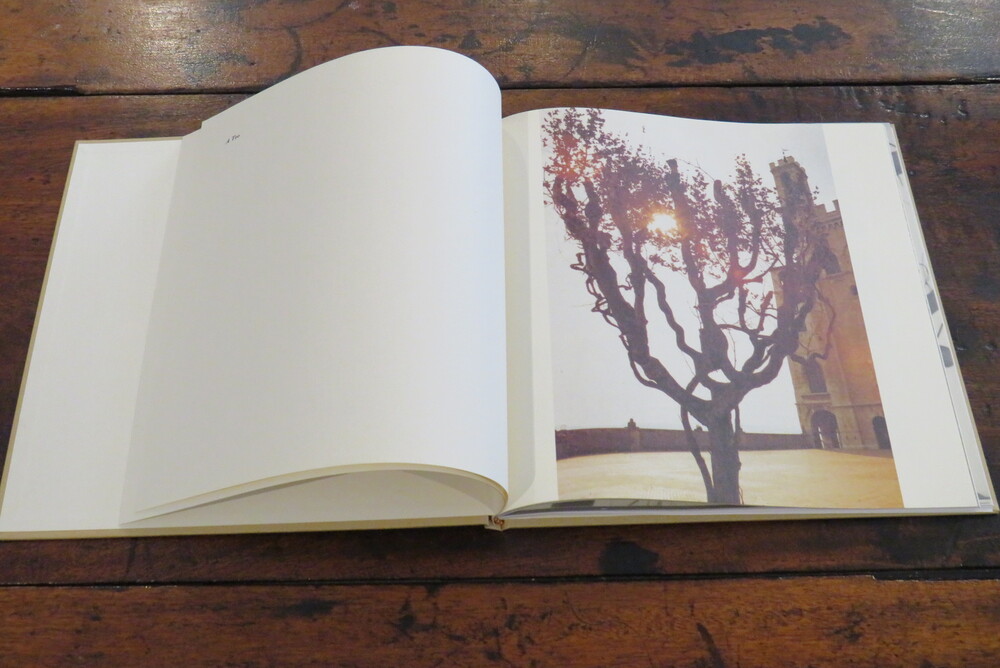 MIRELLA BENTIVOGLIO. Un albero di pagine. Immagini da una sua azione.